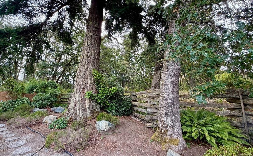 809 Rogers Way, Saanich, BC, V8X 5L1 - 36