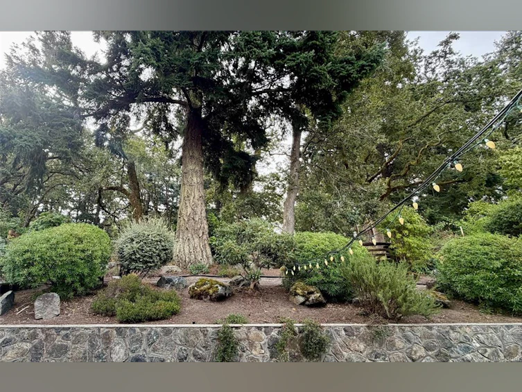 809 Rogers Way, Saanich, BC, V8X 5L1 - 35