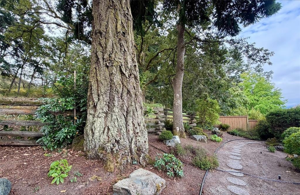809 Rogers Way, Saanich, BC, V8X 5L1 - 34