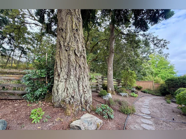 809 Rogers Way, Saanich, BC, V8X 5L1 - 34