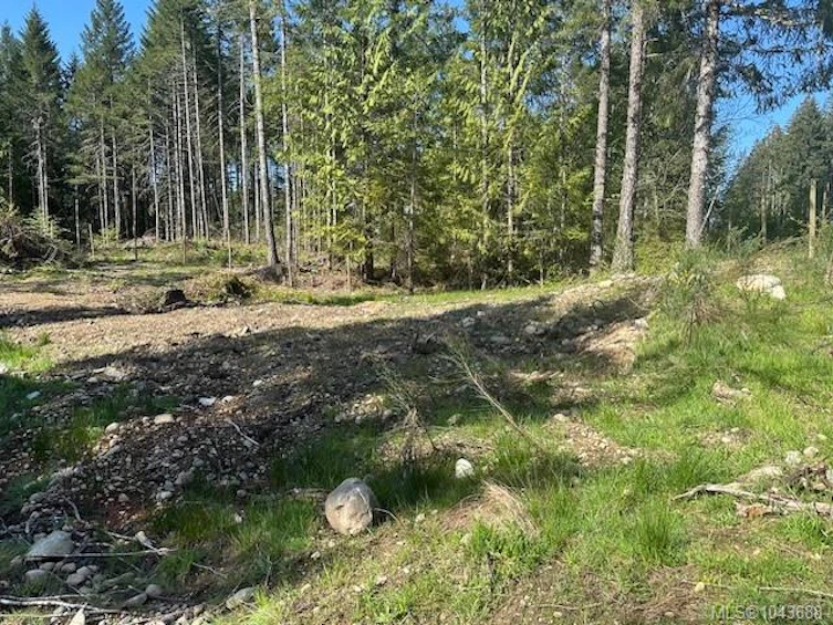 Lot 4 Appaloosa Way, Duncan, BC, V9L 6J1 - 4