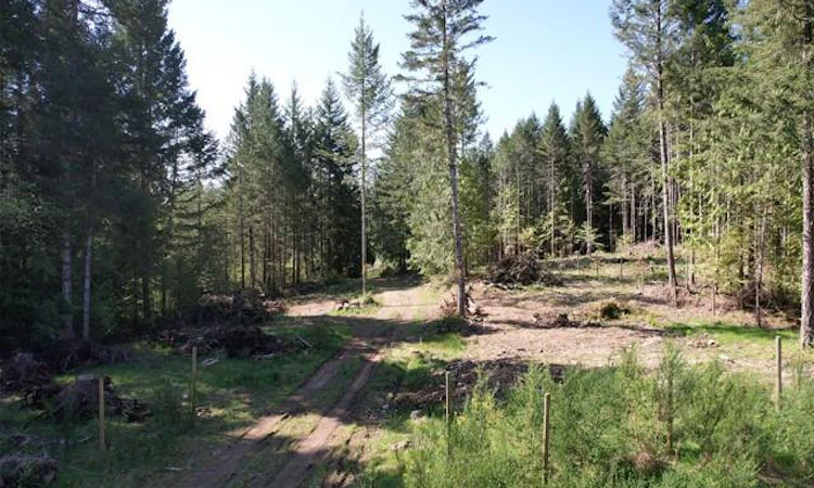 Lot 4 Appaloosa Way