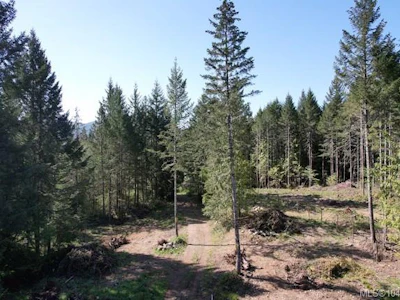 Lot 4 Appaloosa Way - 2