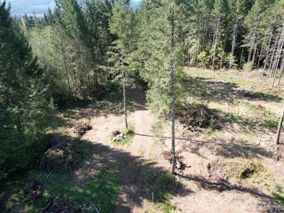 Lot 4 Appaloosa Way - 3