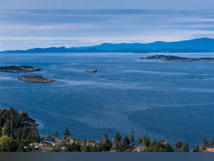 3541 Shelby Lane, Fairwinds, BC, V9P 9J8 - 55