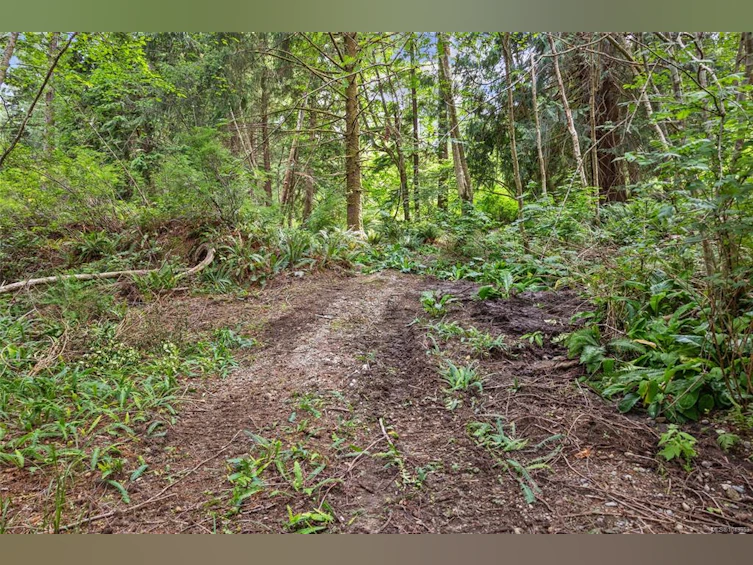Lot B Hyacinthe Bay Road, Quadra Island, BC - 9