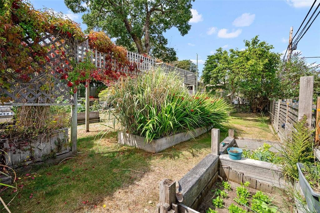 1439 Haultain Street, Victoria, BC, V8R 2J8 - 35