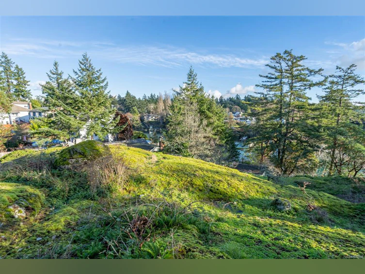 310 Bessborough Avenue, View Royal, BC, V9B 1T7 - 30