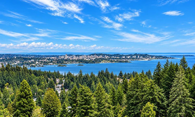 3392 Haida Drive