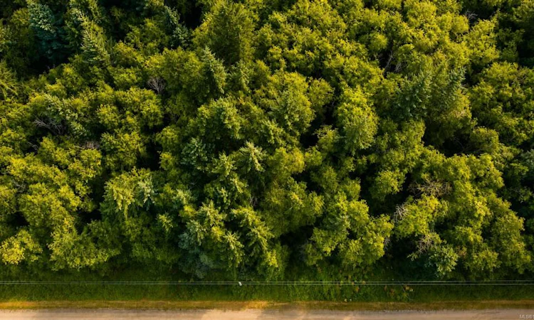 Lot 4 Harbourbrook Road