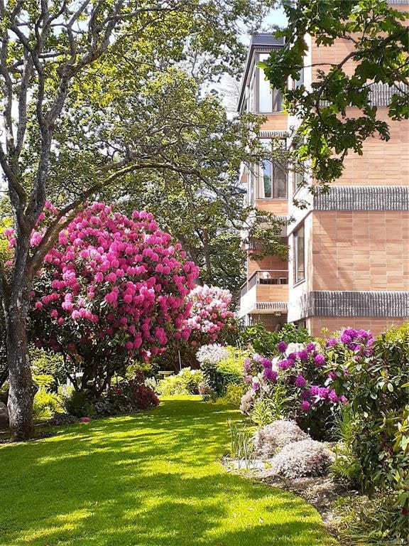 305-2930 Cook Street, Victoria, BC, V8W 3G3 - 64