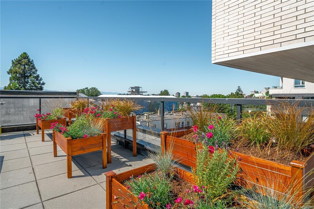 203-1121 Fort Street, Victoria, BC, V8V 3K9 - 23