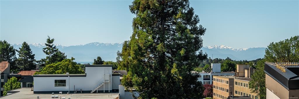 203-1121 Fort Street, Victoria, BC, V8V 3K9 - 25