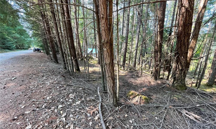 Lot 30 View Ridge Road