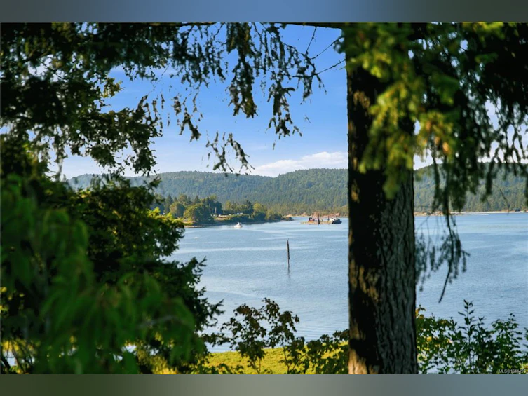 312 Roland Road, Ladysmith, BC, V9G 1X8 - 40