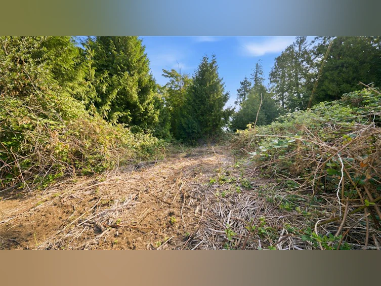 6069 Breonna Drive, Nanaimo, BC, V9V 1G1 - 10