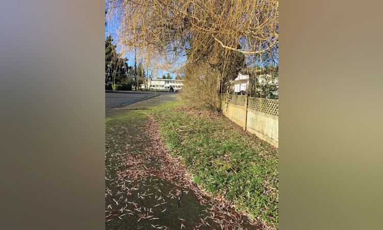 Lot 1-1305 Waddington Road