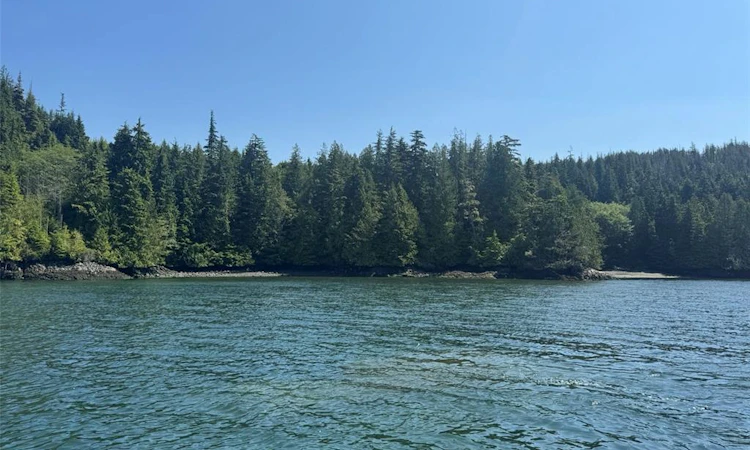 Block C Shushartie Bay