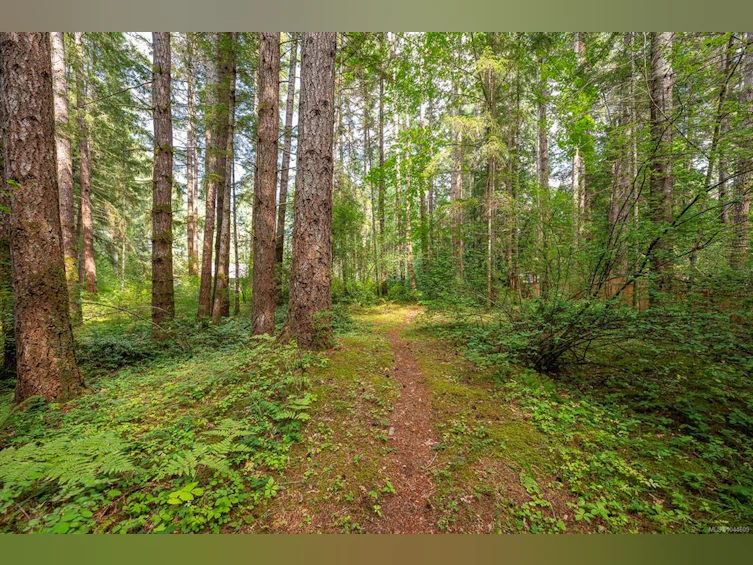 307 Bates Drive, Fanny Bay, BC, V0R 1W0 - 71