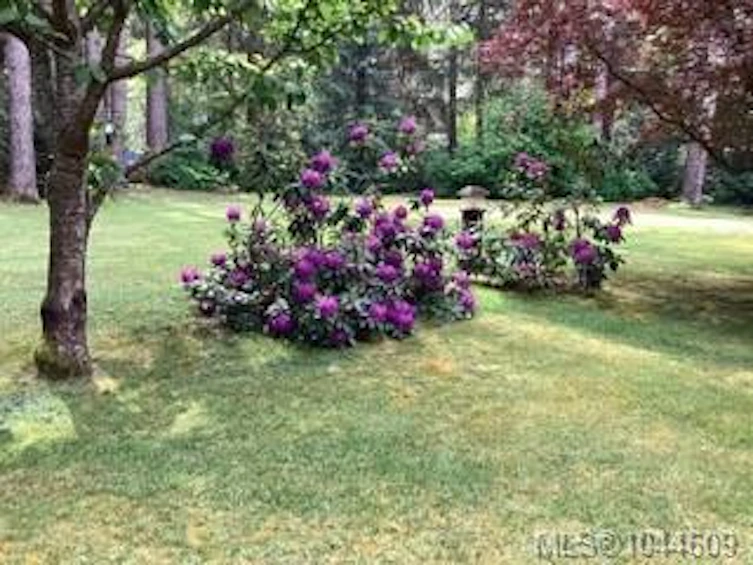 307 Bates Drive, Fanny Bay, BC, V0R 1W0 - 74