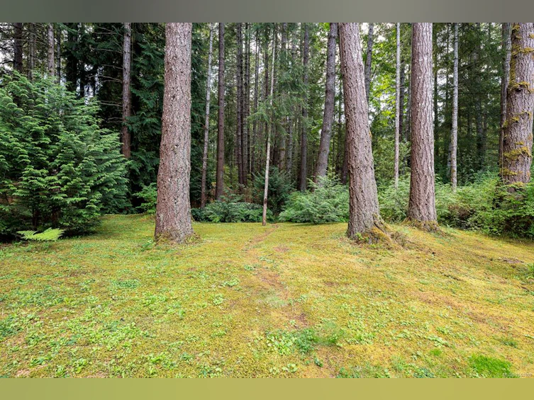 307 Bates Drive, Fanny Bay, BC, V0R 1W0 - 59