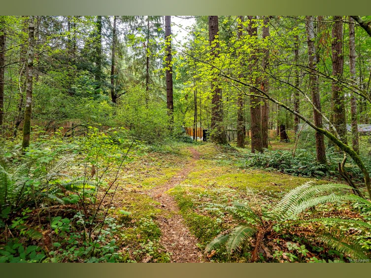 307 Bates Drive, Fanny Bay, BC, V0R 1W0 - 72
