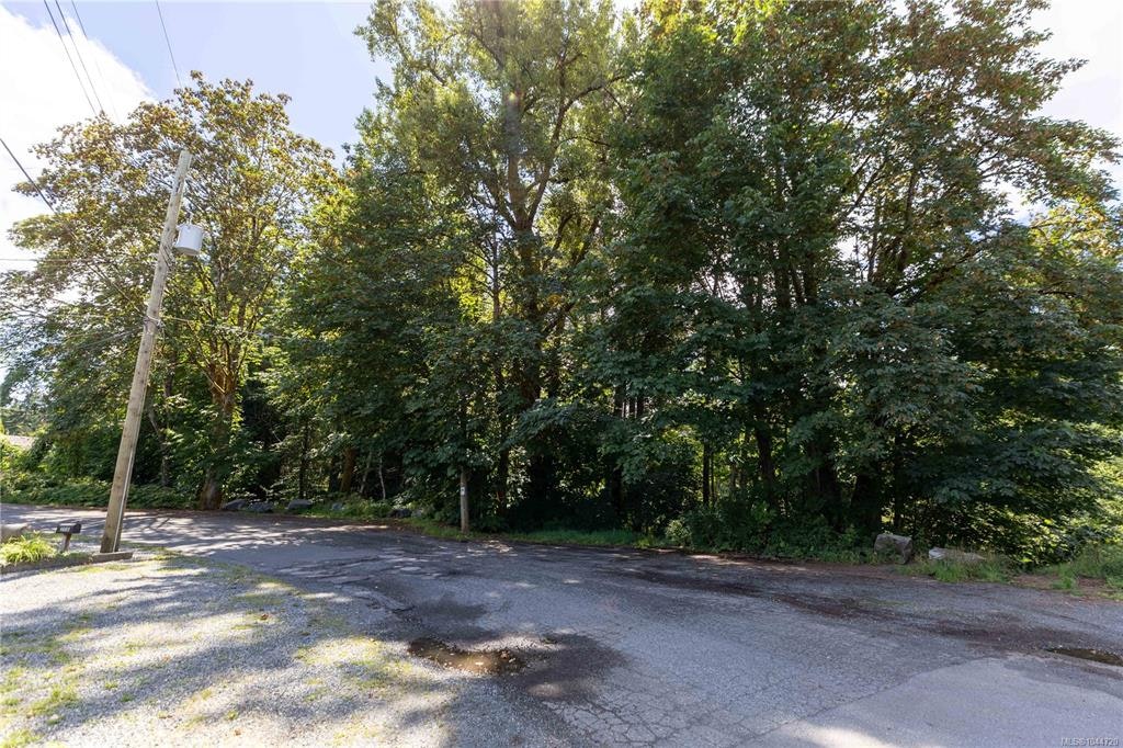 LT B Allen Avenue, Cumberland, BC, V0R 1S0 - 7