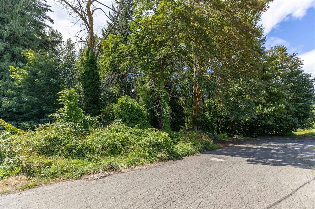 LT B Allen Avenue, Cumberland, BC, V0R 1S0 - 11