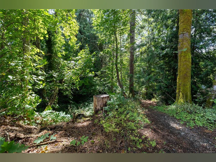 LT B Allen Avenue, Cumberland, BC, V0R 1S0 - 4