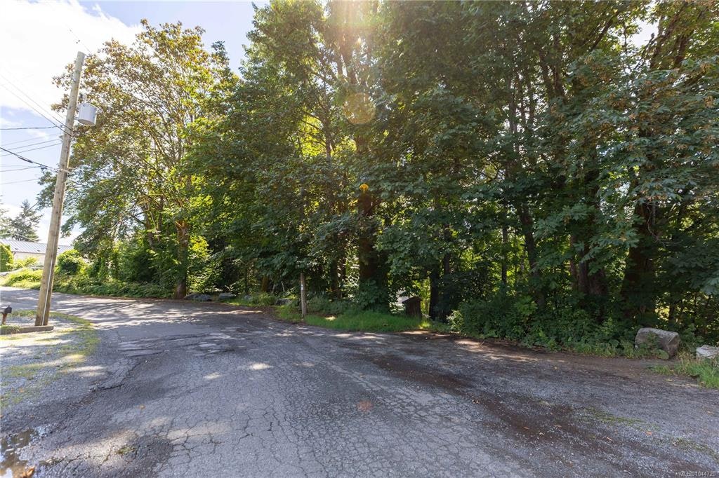 LT B Allen Avenue, Cumberland, BC, V0R 1S0 - 6