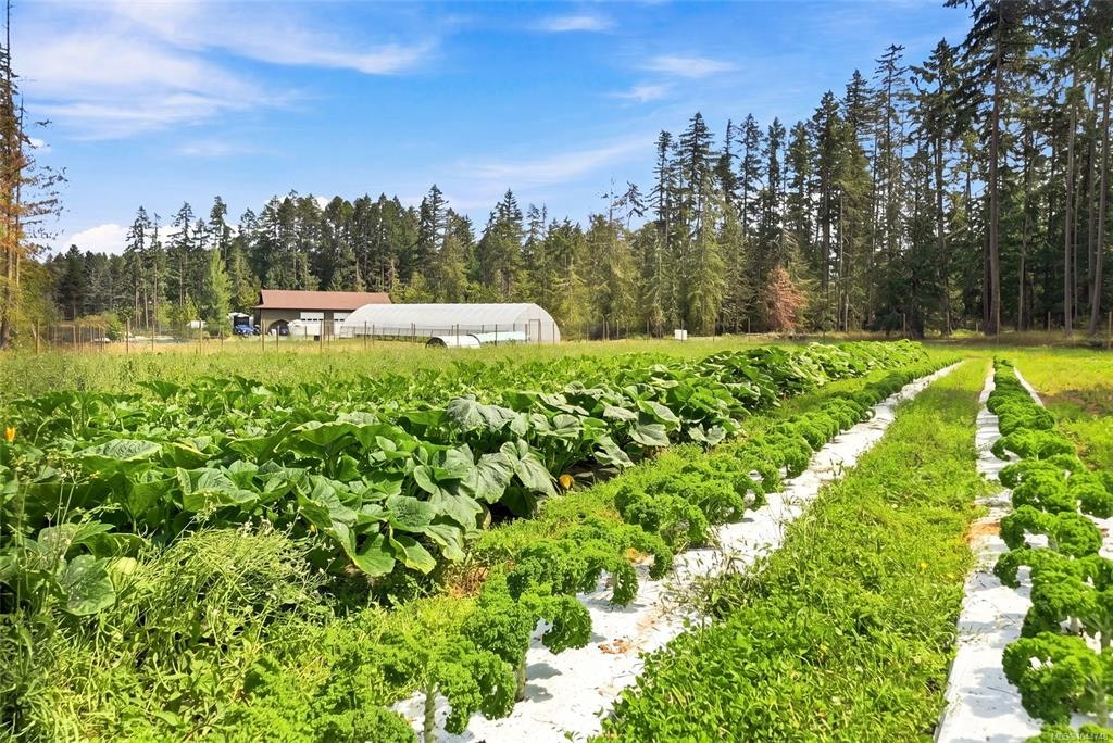 1704 Matterson Road, Coombs, BC, V0R 1V0 - 7