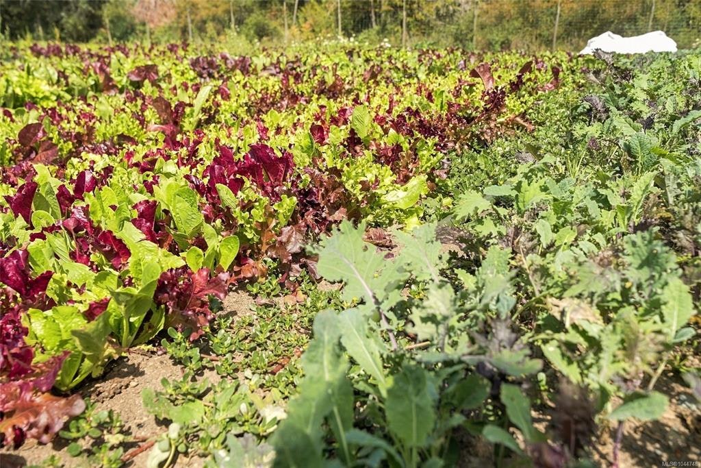 1704 Matterson Road, Coombs, BC, V0R 1V0 - 44