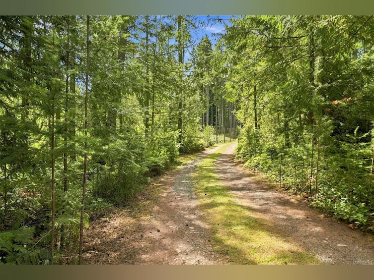 1704 Matterson Road, Coombs, BC, V0R 1V0 - 47