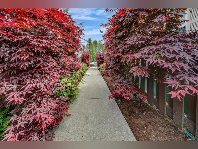 32-10750 Central Lake Road, Port Alberni, BC, V9Y 8Z2 - 35