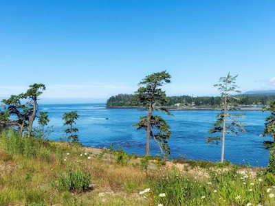 7078 East Sooke Road - 3