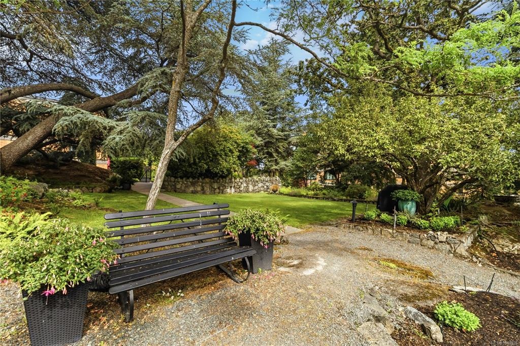 501-2920 Cook Street, Victoria, BC, V8T 3S7 - 64