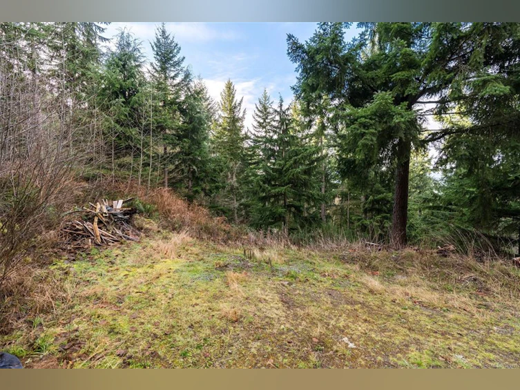 Lot A Strathcona Heights Road, Shawnigan Lake, BC, V8H 2A9 - 4