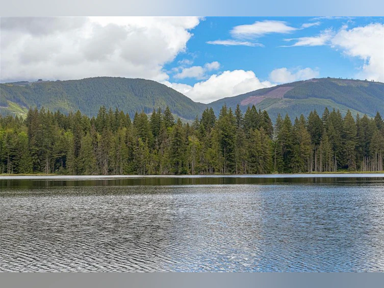 5-8631 South Shore Road, Lake Cowichan, BC, V0R 2G0 - 52
