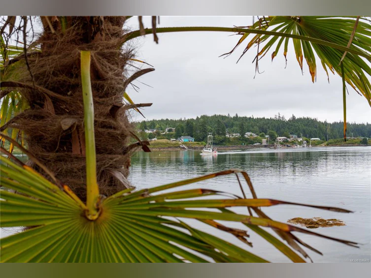 1191 Eber Road, Ucluelet, BC, V0R 3A0 - 13