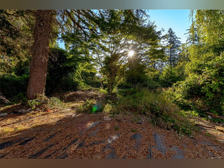 5287 Santa Clara Avenue, Saanich, BC, V8Y 1W6 - 8