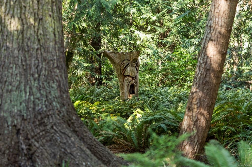 825 E Fern Road, Qualicum Beach, BC, V9K 1M3 - 76