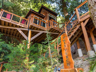 2519 Brule Drive - 4