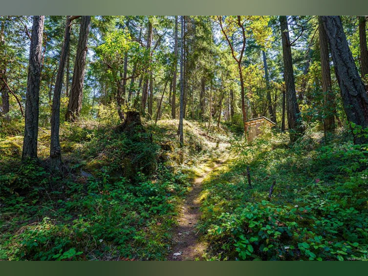 Lt 1 NE Ruxton Island, Ruxton Island, BC - 30