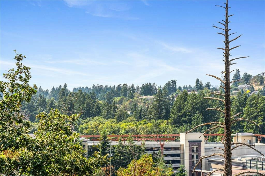 303-286 Wilfert Road, Colwood, BC, V9C 0H6 - 29