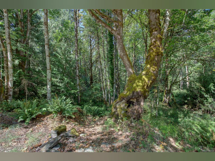 4389 Creighton Road, Duncan, BC, V9L 6J7 - 63