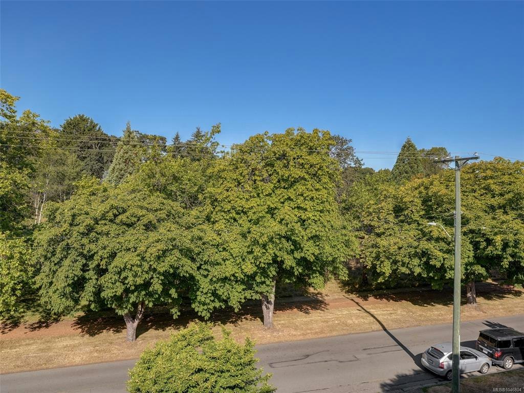 401-964 Heywood Avenue, Victoria, BC, V8V 2Y5 - 20