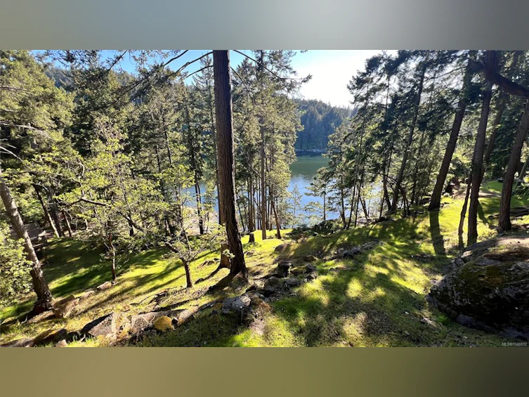 231 Halibut Hill Road, Mudge Island, BC, V0R 1X6 - 68