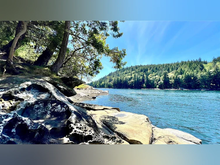 231 Halibut Hill Road, Mudge Island, BC, V0R 1X6 - 6