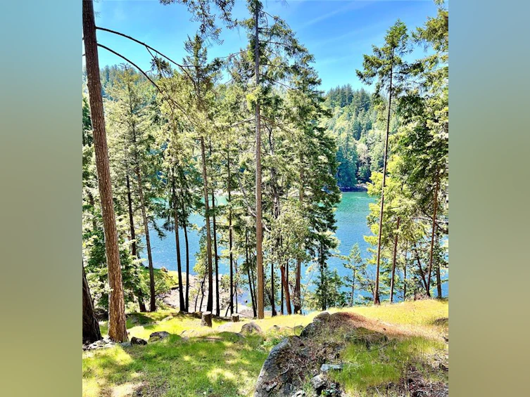 231 Halibut Hill Road, Mudge Island, BC, V0R 1X6 - 75
