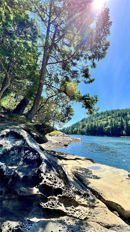 231 Halibut Hill Road, Mudge Island, BC, V0R 1X6 - 72